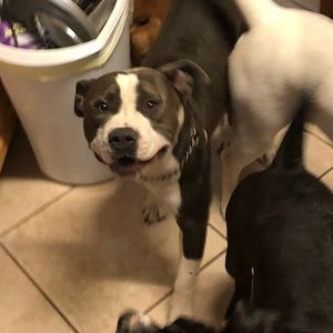 Meet your Posher, Rache